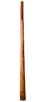 Tristan O'Meara Didgeridoo (TM312)